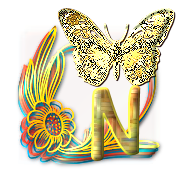 papillon-gv8g8hh77j7hgh-14.png