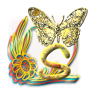 papillon-gv8g8hh77j7hgh-19.png