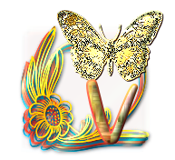 papillon-gv8g8hh77j7hgh-22.png