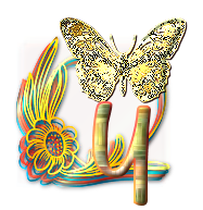 papillon-gv8g8hh77j7hgh-25.png