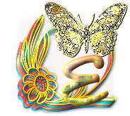 papillon-gv8g8hh77j7hgh-5.png