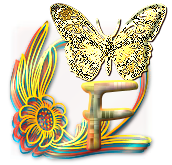 papillon-gv8g8hh77j7hgh-6.png