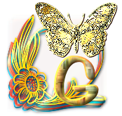 papillon-gv8g8hh77j7hgh-7.png