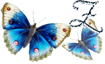 papillon-mmn5547t6t666t-12.gif