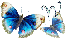 papillon-mmn5547t6t666t-19.gif