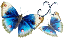 papillon-mmn5547t6t666t-26.gif