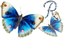 papillon-mmn5547t6t666t-3.gif