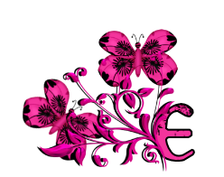 papillon005958-5.png