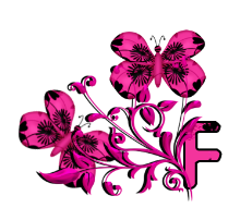 papillon005958-6.png