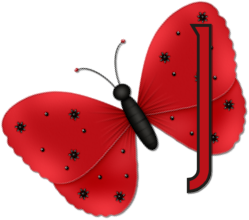 papillon554320023357-10.png