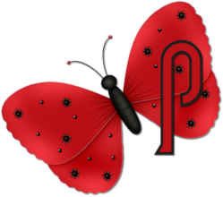 papillon554320023357-16.png