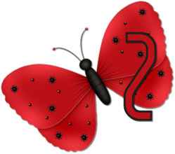 papillon554320023357-26.png