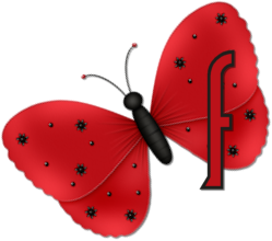 papillon554320023357-6.png