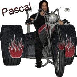 pascal-2.gif