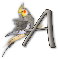 perrot54545454-1.png