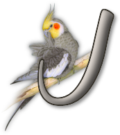 perrot54545454-10.png