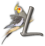 perrot54545454-12.png