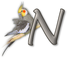 perrot54545454-14.png