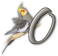 perrot54545454-15.png