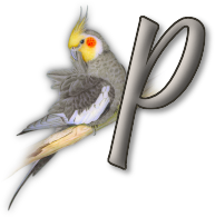 perrot54545454-16.png