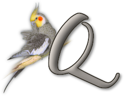 perrot54545454-17.png