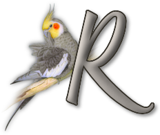 perrot54545454-18.png