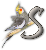 perrot54545454-19.png