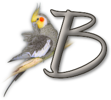 perrot54545454-2.png