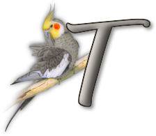 perrot54545454-20.png