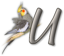 perrot54545454-21.png