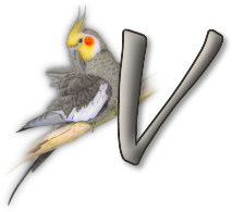 perrot54545454-22.png