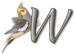 perrot54545454-23.png