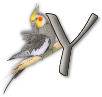 perrot54545454-25.png