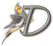 perrot54545454-4.png