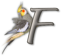 perrot54545454-6.png