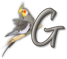 perrot54545454-7.png