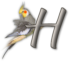 perrot54545454-8.png