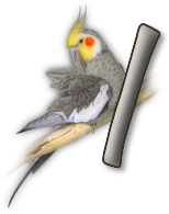 perrot54545454-9.png