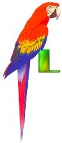 perrrroquet-4333-12.jpg