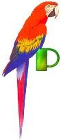 perrrroquet-4333-16.jpg