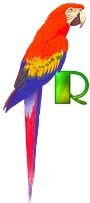 perrrroquet-4333-18.jpg