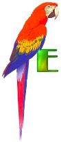 perrrroquet-4333-5.jpg