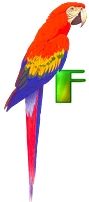 perrrroquet-4333-6.jpg