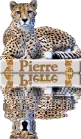 pierre-2.gif