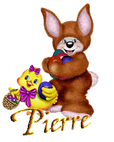 pierre.gif