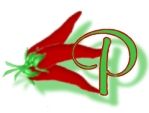 piment-654443-16.jpg