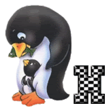 pingouin-343434434334-1.gif