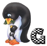 pingouin-343434434334-10.gif
