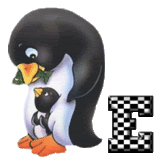 pingouin-343434434334-24.gif