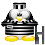 pingouin-3443843984343y43843t438-8.gif